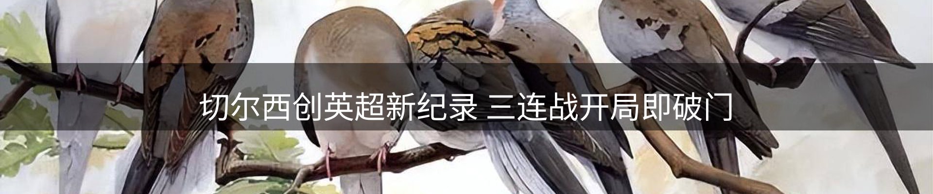 新闻速递
